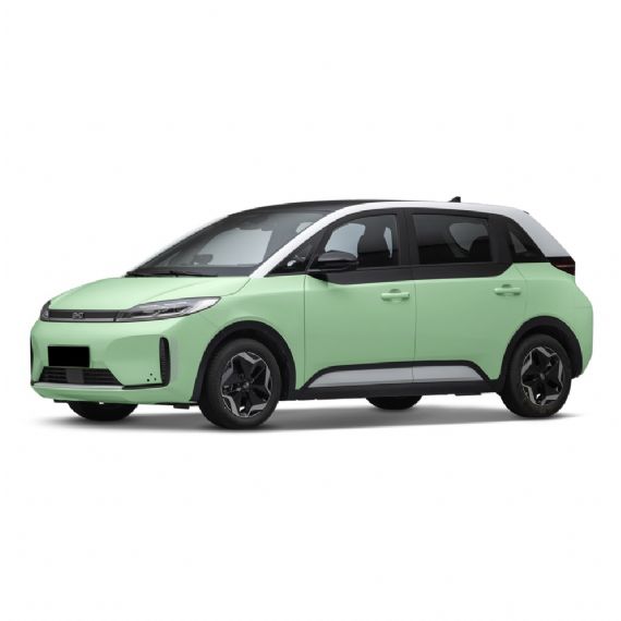 BYD D1 Lead Edition 2021 - UC00098