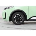 BYD D1 Lead Edition 2021 - UC00098