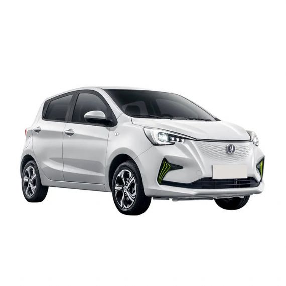 Changan Benben 1 - CH00011