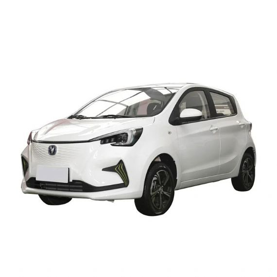 Changan Benben 2 - CH00080