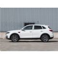 Hongqi HS5 Petrol Gas Gasoline - CH00046