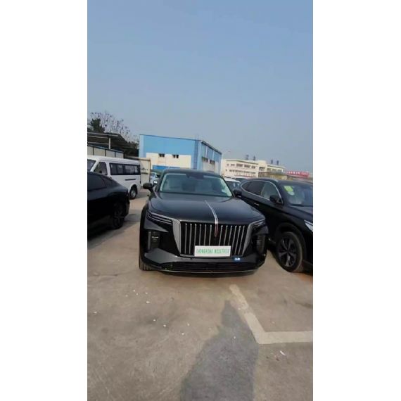 Hongqi E-QM5 7 - CH00048
